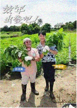 乐队的夏天综艺海报